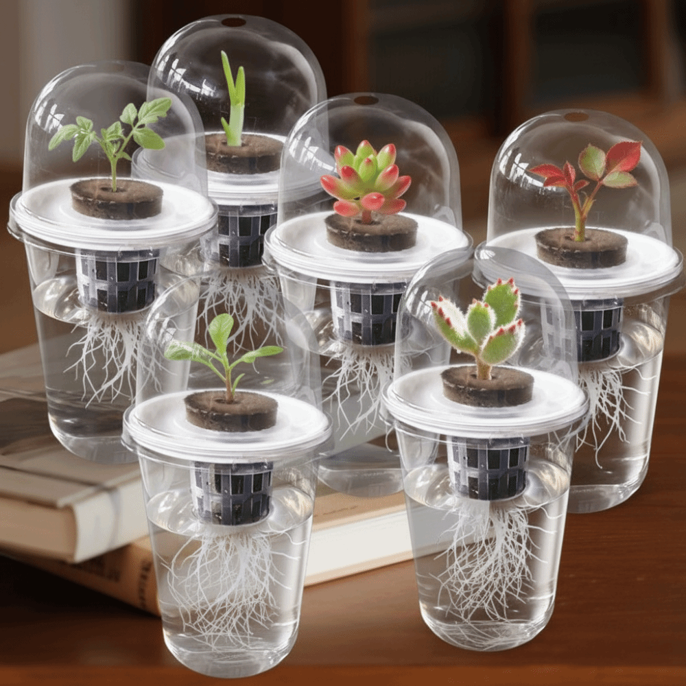 Seed Starter Tray - 1-5 Stück Transparente Pflanzenkeimungsbecher, Hydroponische Saatgut-Pflanzgefäße,