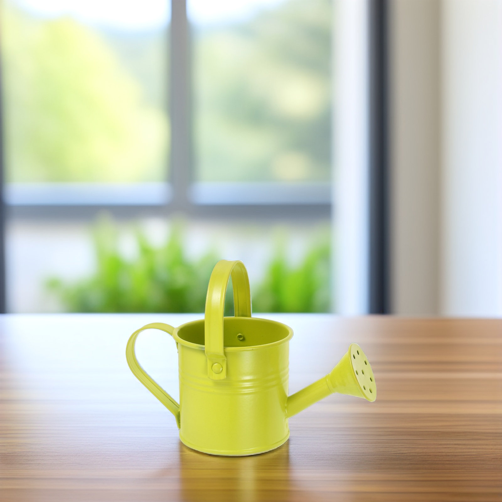 Watering Can - Kleine, verzinkte Gießkanne aus Metall, Mini-Sprühkanne