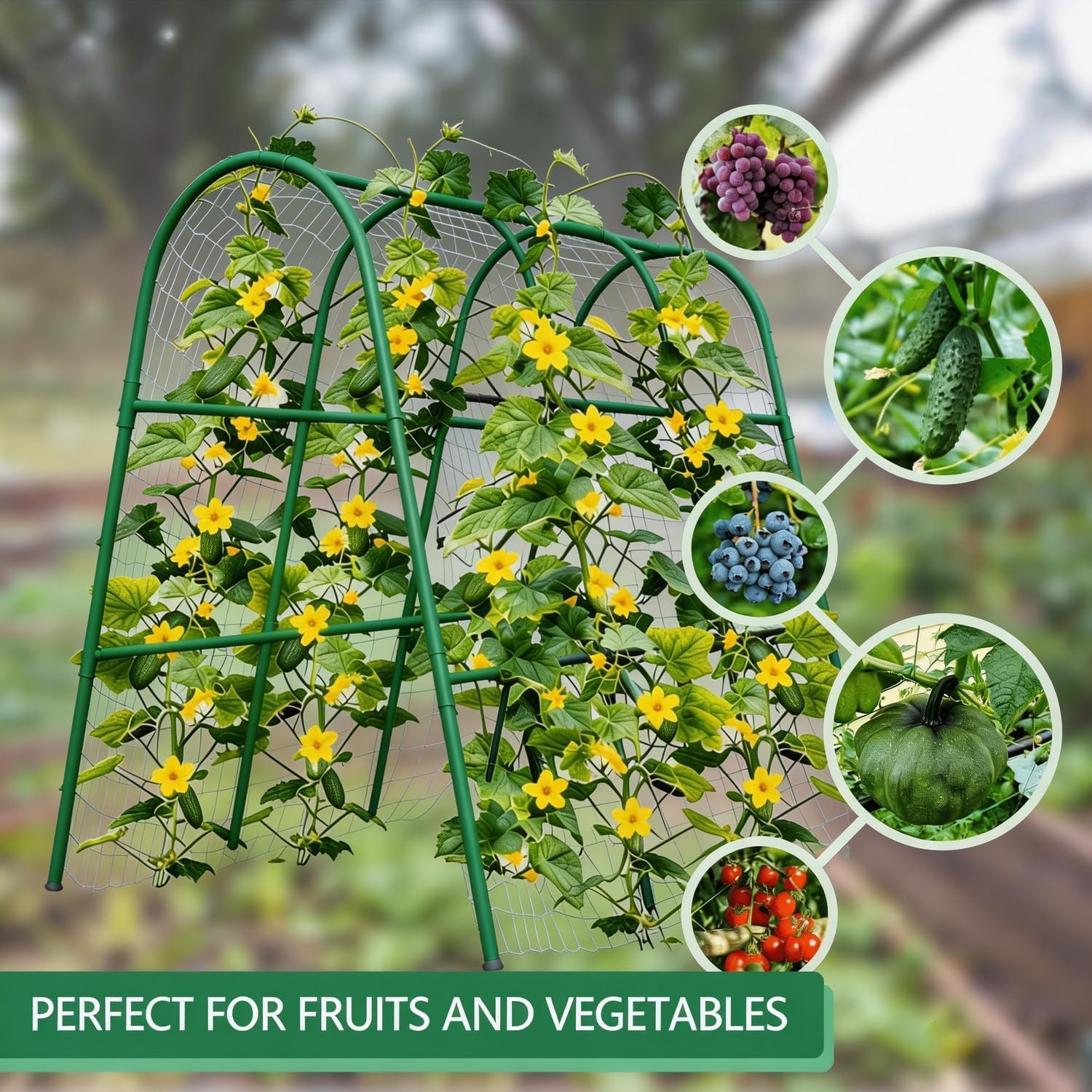 4x5,3FT Gartenbogen-Rankgitter – Raised Garden Bed Bewertung und Preis