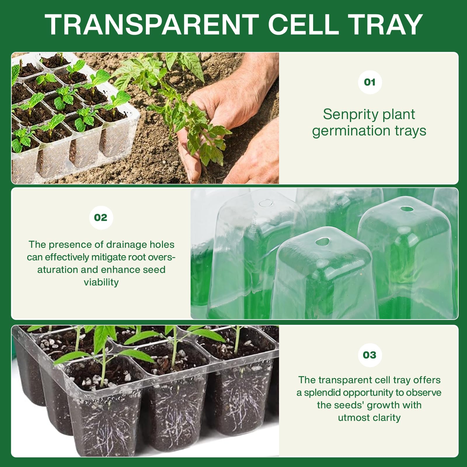 Anzuchtschale mit Pflanzenbele – Seed Starter Tray Bewertung und Preis