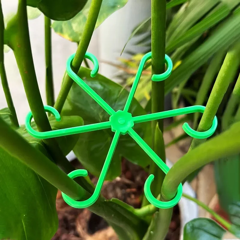Blume Pflanze Stem Unterstützu – Indoor Herb Garden Bewertung und Preis