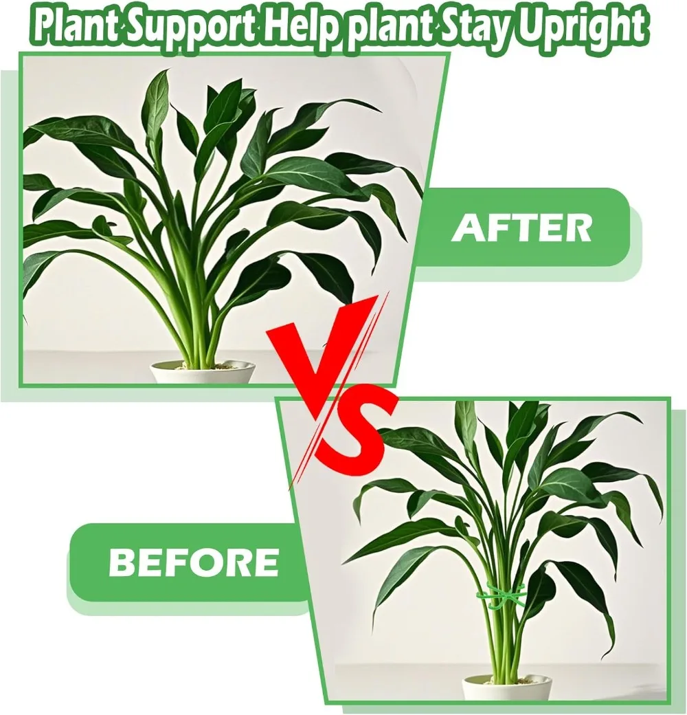 Blume Pflanze Stem Unterstützu – Indoor Herb Garden Bewertung und Preis
