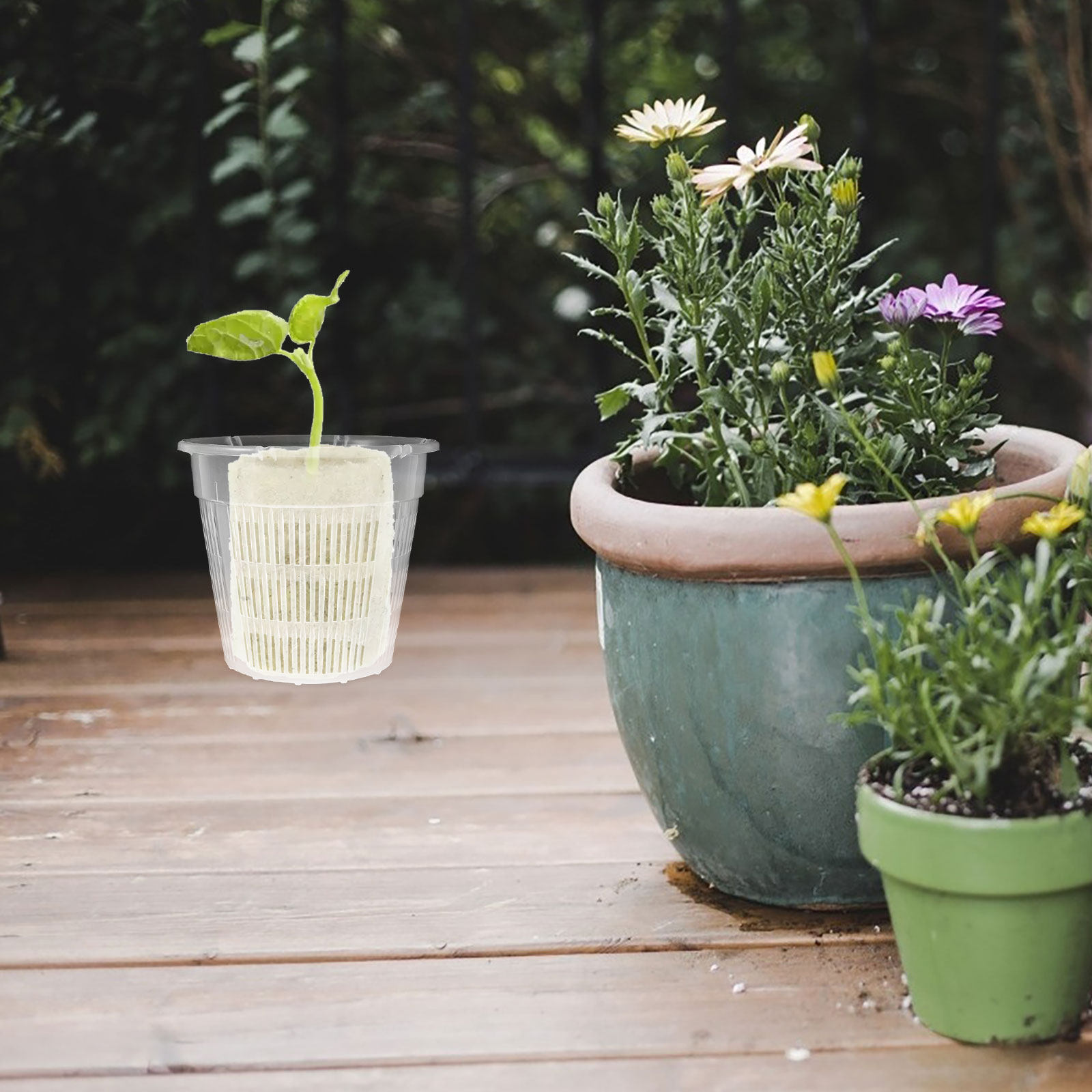 4 Stück Hydroponische Pflanzkö – Plant Pot Bewertung und Preis