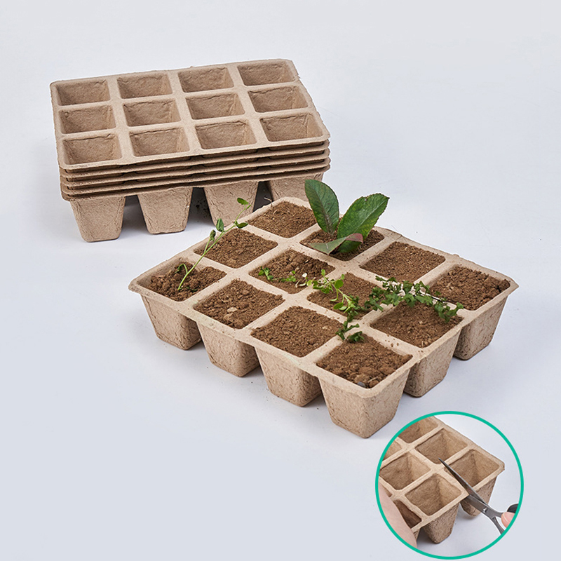 5Pcs 12-Loch Pflanze Kindergar – Seed Starter Tray Bewertung und Preis