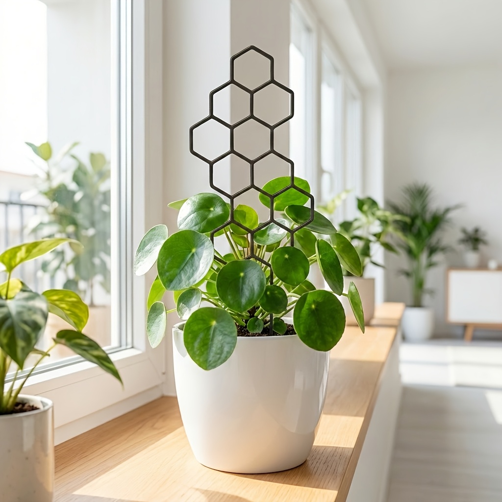 1/2er-Pack Rankhilfe für Zimme – Indoor Herb Garden Bewertung und Preis