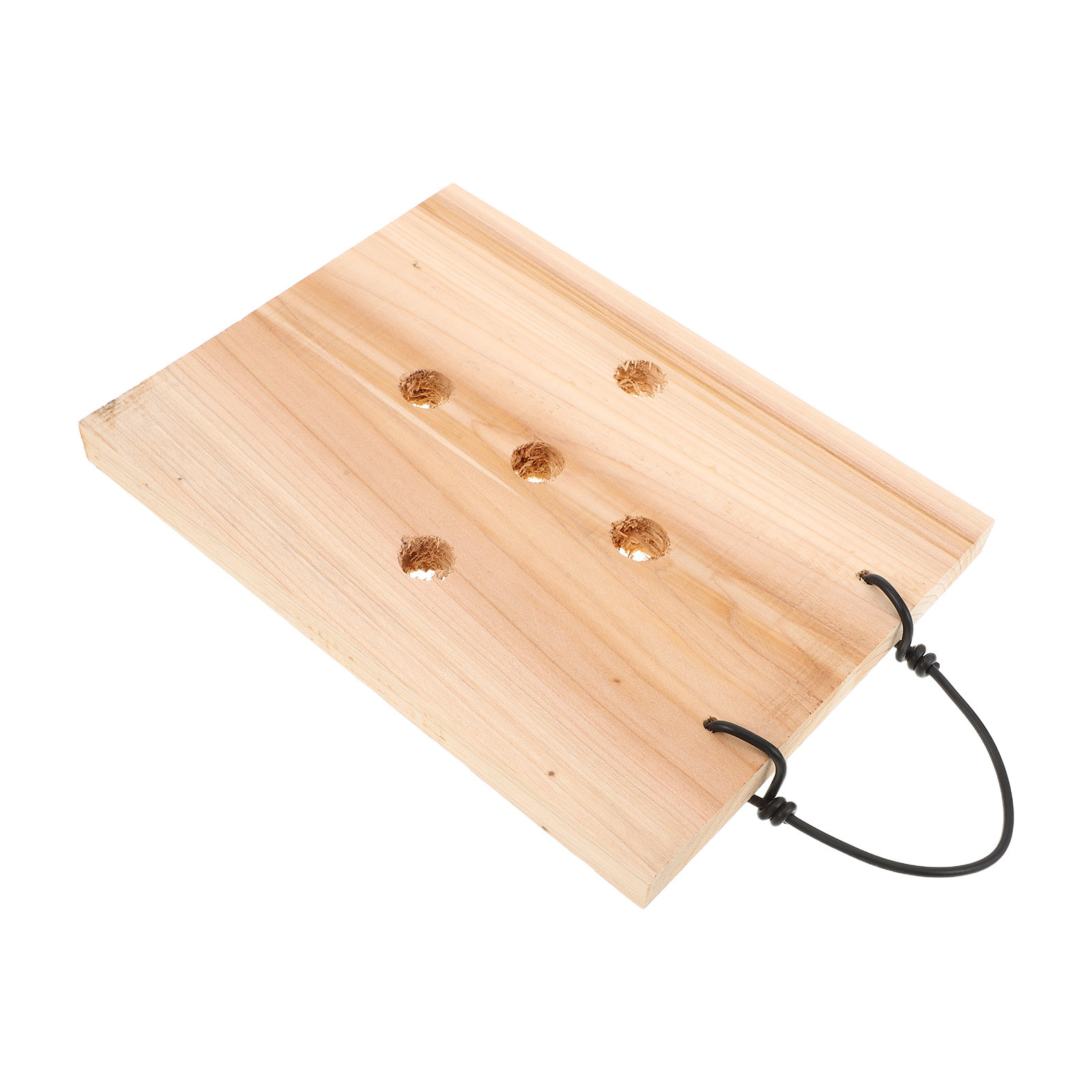 Massivholz-Wandpflanzentafel f – Vertical Planter Bewertung und Preis