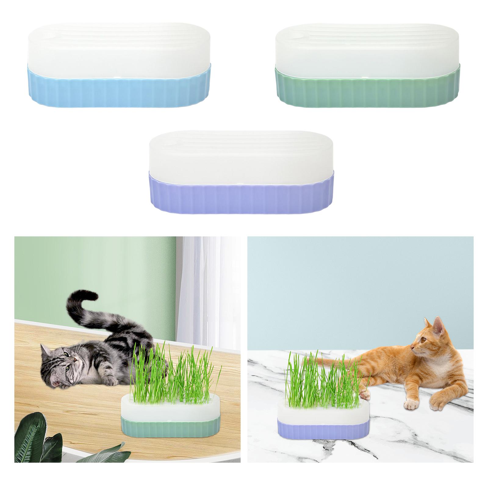 Samensprießschale mit Abflussl – Hydroponic Kit Bewertung und Preis