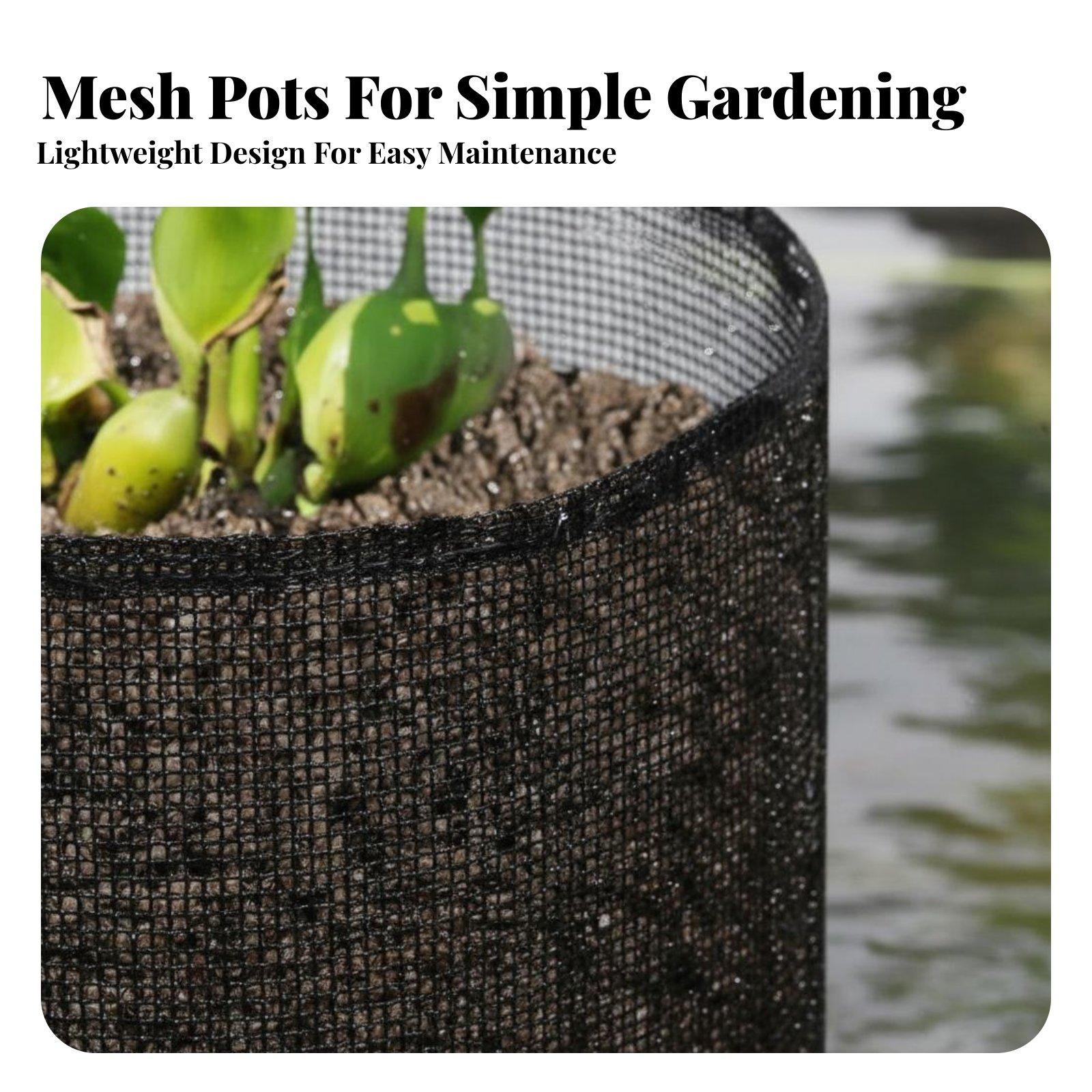 4-teiliges Set Wasserschilf-Pf – Grow Bag Bewertung und Preis