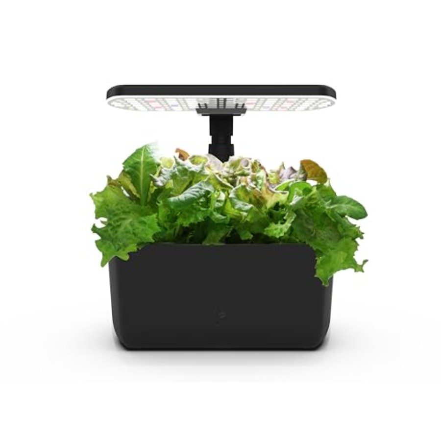 Hydroponischer Innengarten für – Indoor Herb Garden Bewertung und Preis