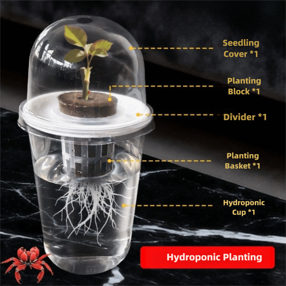 1-5 Stück Transparente Pflanze – Seed Starter Tray Bewertung und Preis