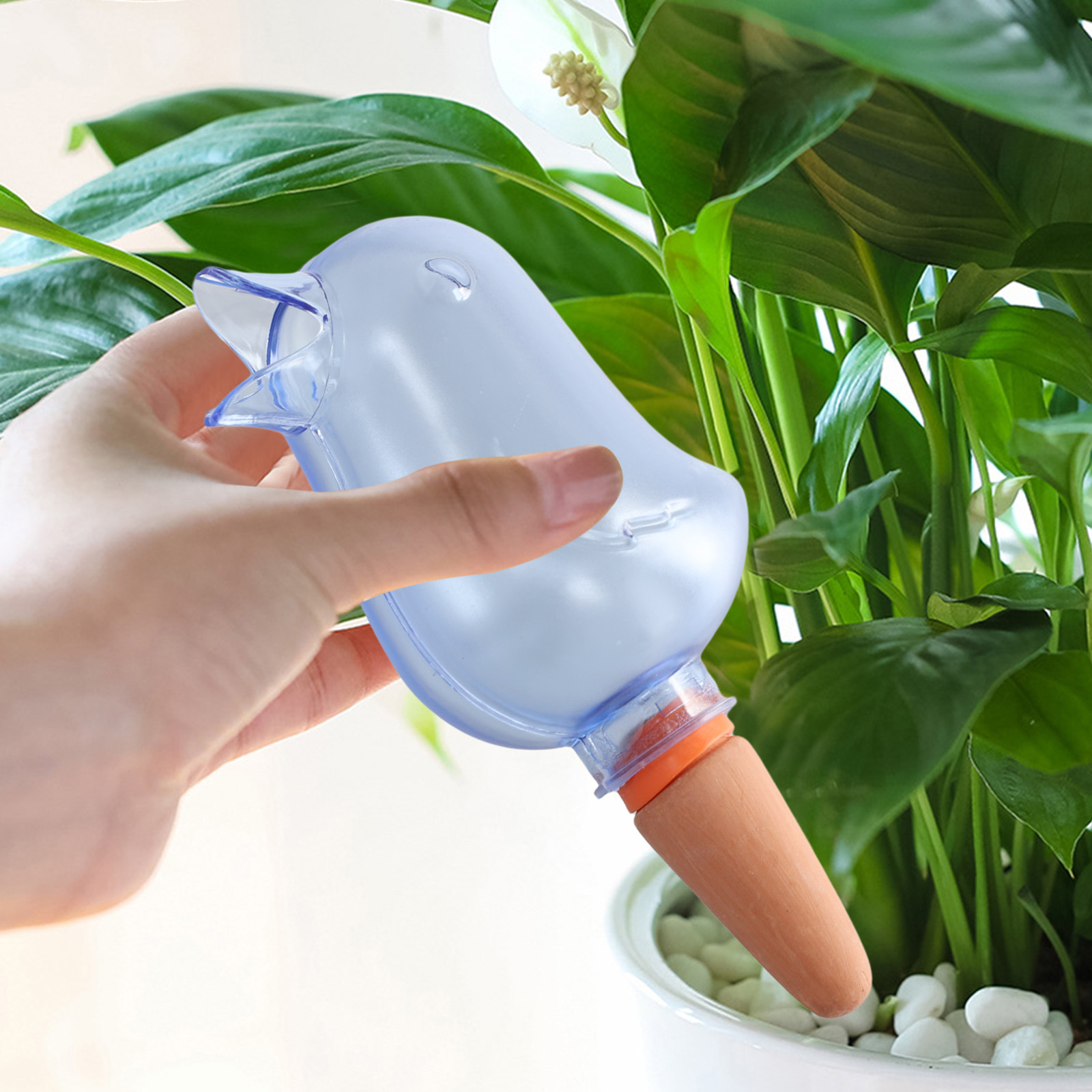 Automatische Pflanzen Tropf Be – Self Watering Planter Bewertung und Preis