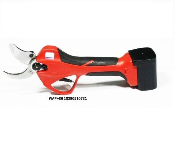 Kingson Tragbare Gartenschere  – Pruning Shears Bewertung und Preis