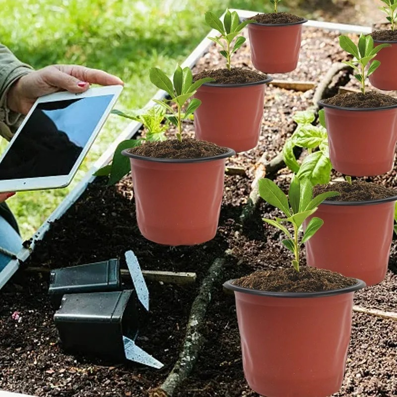 100/20x Pflanzentöpfe Schwarz  – Seed Starter Tray Bewertung und Preis